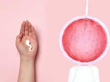 Big news for IVF seekers, new rules set for sperm banks and fertility clinics