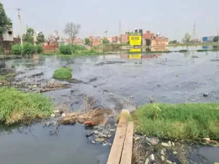 ₹800 Crore Mega Industrial Cleanup Unveiled; 3 New Massive CETPs To Neutralize Toxic Chemical Water and Save Dying Crops