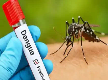 Moga Dengue Alert: Four New Cases Spark Panic as Civil Surgeon Launches Intensive Inspection Campaign