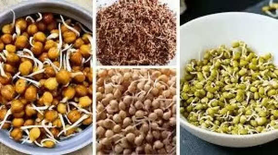 The Nutritionist's Secret : How One Spoon of Sprouted Moong Can Reset Your Hormones