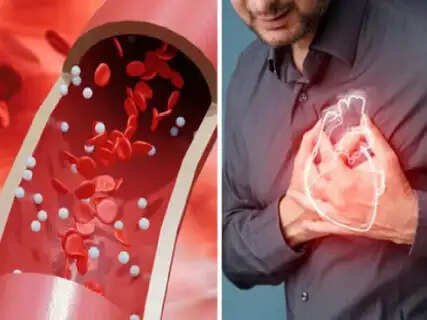 Groundbreaking Medical Study Reveals Cigarette Smokers Face 6-Times Higher Risk Of Cardiovascular Contamination