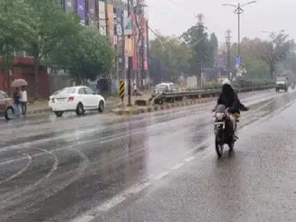 Monsoon Momentum in Haryana: Rain Hits 11 Districts, Yellow Alert Issued for 17 Areas