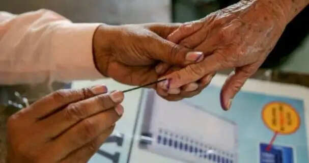 Polling in Haryana today for mayor and ward councillors in Panchkula, Ambala and Sonipat