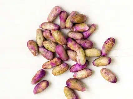 Stop Throwing Away Jamun Seeds, The Hidden Health Powerhouse You’ve Been Tossing in the Trash