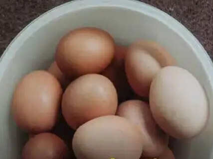 Eggs vs. Soybeans: Which is more protein-rich, The mid-day meal menu in Bengal has changed.