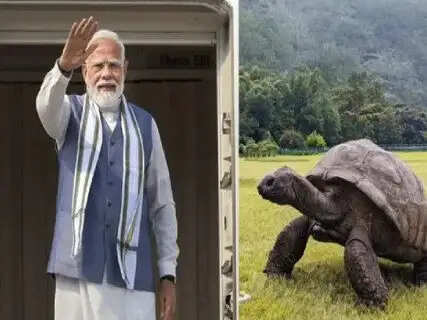 PM Modi's Seychelles visit will be special, he will meet the world's oldest living creature 'Jonathan'.