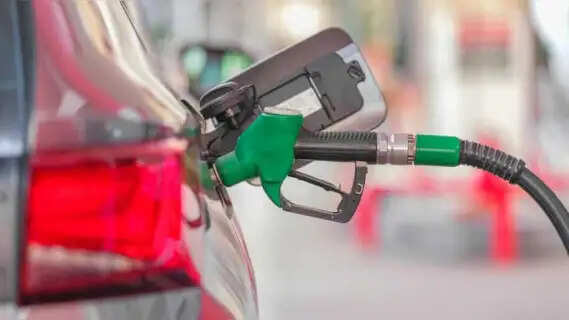 Is E10 petrol coming back in India? BPCL CMD says two options under consideration