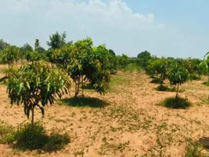 Pending State Payments Halt Jharkhand Rural Development As Chatra Laborers Avoid G-Ram-G Scheme Work