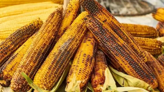 Monsoon Health: Is Corn a Safe and Beneficial Snack for Diabetics?