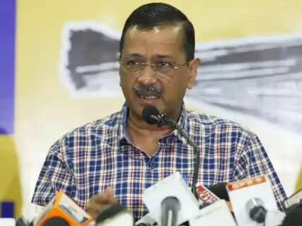 Kejriwal's Disarming Apology in Goa: A Political Masterstroke or a Moment of Genuine Remorse?