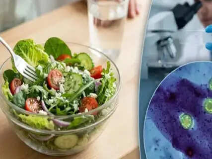 Why Cyclospora Parasite Infection Is Surging Globally, Crucial Symptoms, And Essential Food Safety Hacks Disclosed