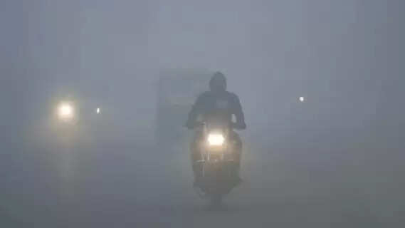 Weather Update: Alert of melting cold and dense fog, latest weather update on Lohri