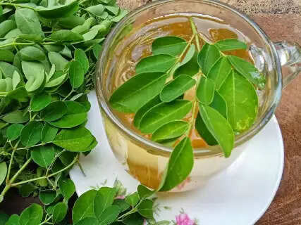 Drink Moringa Tea First Thing on an Empty Stomach for an Instant Immunity Boost and Flawless Digestion