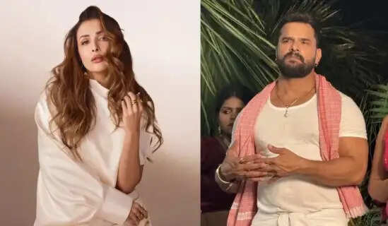 Malaika Arora Slams Viral Video Showing Animal Cruelty Involving Bhojpuri Actor Khesari Lal Yadav