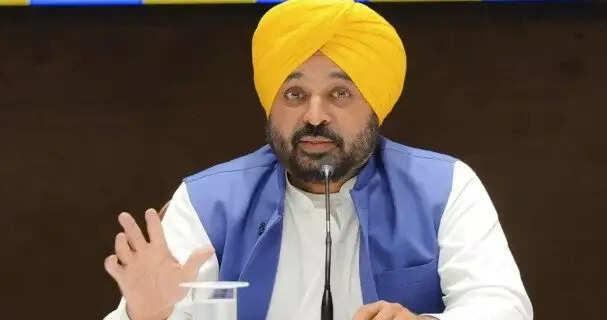 Punjab Cabinet Reshuffle: Bhagwant Mann Reassigns Key Portfolios - Here's Who Gets What