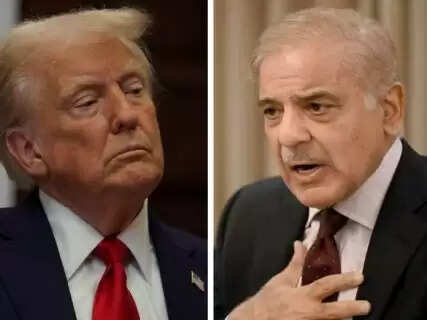 Lost in Translation: The Real Story Behind a High-Stakes Diplomatic Misstep