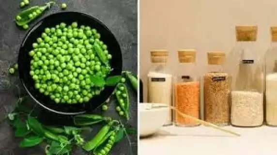 Smart Storage Methods To Keep Fresh Peas Tasty For Twelve Months