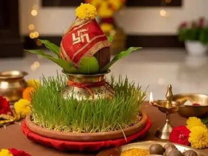 Success or Warning? What the Growth of Your Navratri Barley Says About Your Future