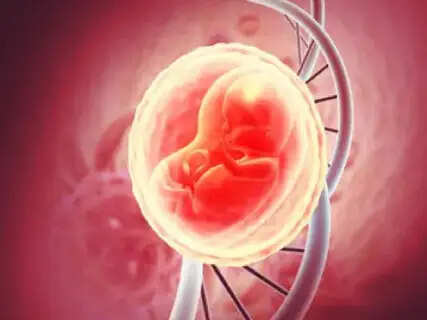 Revolutionary 'Placenta-on-Chip': Indian Scientists Develop Affordable Tech for Pregnancy Research