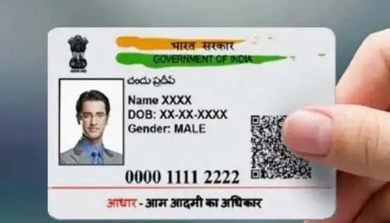 Important Update Notice: Why Keeping Your Identity Card Details Current Is Essential