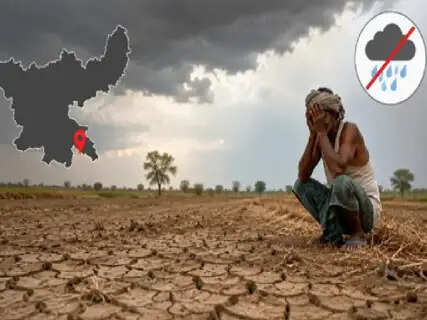Jharkhand Monsoon Crisis: 23 Districts Face 27% Rainfall Deficit as Paddy Plantation Stalls at 50% in East Singhbhum