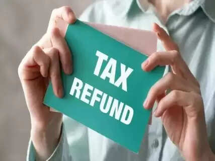 Taxpayers Alert! Your Income Tax Refund Could Be Delayed – Here's Why