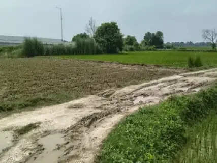 Uttar Pradesh Section Nears Completion While Commuters in Bihar Await Road and Overbridge Work