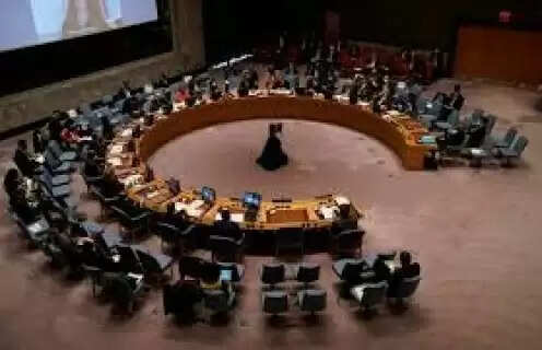 What steps is India taking to secure permanent UNSC membership? The central government explained.