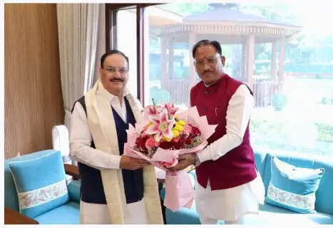 Vishnu Deo Sai Meets JP Nadda, Discusses Healthcare Expansion and Fertilizer Availability for Farmers