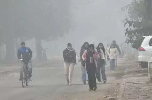 Zero Degrees and Rising Concerns The Cold Wave Gripping North India Is No Joke