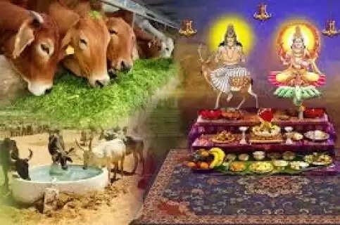 Feed these things to the cow every day, you will get success with the blessings of Sun God