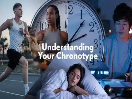 Which Chronotype Dominates Peak Productivity And Optimal Health? Science Finally Answers