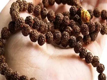 Real Vs Fake Rudraksha: Easy Home Tests To Check Authenticity And Avoid Common Buying Mistakes