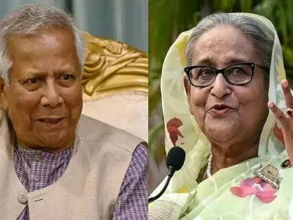 Assassinated Student Leader's Brother Warns Yunus Government of Sheikh Hasina's Fate