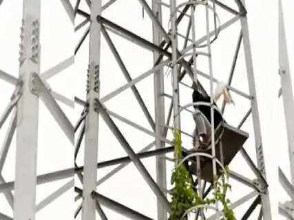 Man Climbs 50-Foot Mobile Tower Over Marital Dispute, Rescued After 90 Minutes