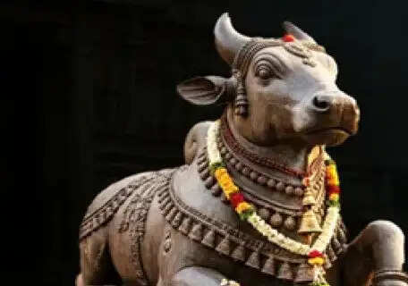 Shiva temples show Nandi with one foot forward, do you know the reason why...