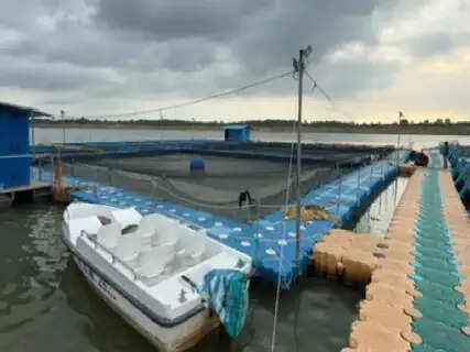 Shahbaz Alam’s Hi-Tech Cage Culture Model at Banka Chandan Dam Targets 100 Tons of Fish Production Using CCTV and Solar Power