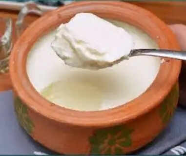 Curd Setting Hack Set Thick & Creamy Curd in Just 1 Hour Even in Scorching Summer