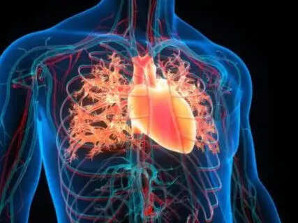 Road to Recovery: Safe and Effective Exercises to Rebuild Strength After Heart Surgery