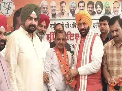 Haryana CM Nayab Saini Makes Bold Claim, Promises Haryana-Style Welfare Schemes