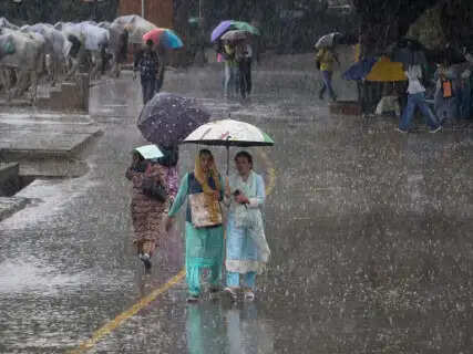 IMD Issues Alert For 18 Rajasthan Districts As Rainy Spell Reactivates; Heatwaves Grip Western Regions At 40.1°C