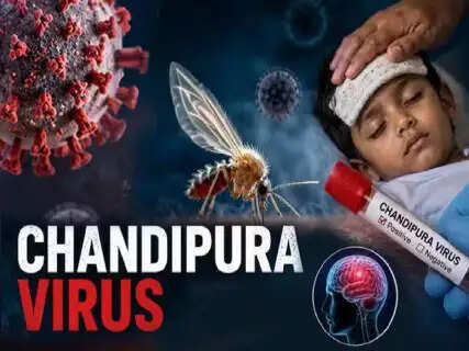 Chandipura Virus: Symptoms, Prevention, and Why WHO Emphasizes Early Medical Action
