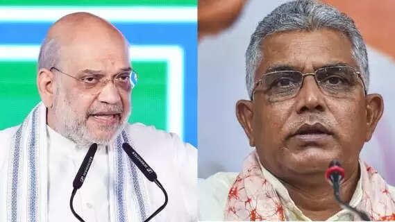 Amit Shah Meets Senior Leader Dilip Ghosh To Formulate West Bengal Assembly Election Strategy