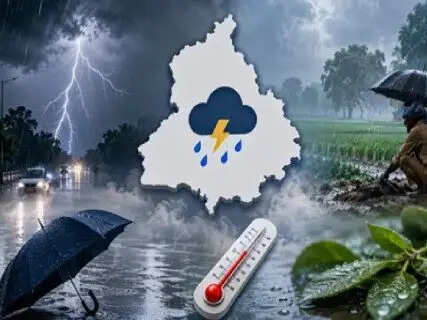 Punjab Weather Alert: Heavy Rain and Thunderstorms Forecasted for 7 Districts; Humidity Set to Dip