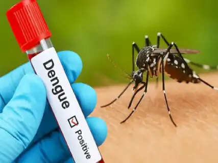 5 Serious Warning Signs of Dengue and Essential Steps to Protect Yourself and Your Family