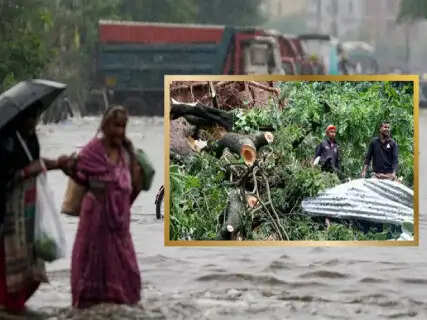 IMD Monsoon Alert: 50 km/h Winds and Heavy Downpours to Batter Delhi, UP, Bihar, and 17 Other States Until July 26