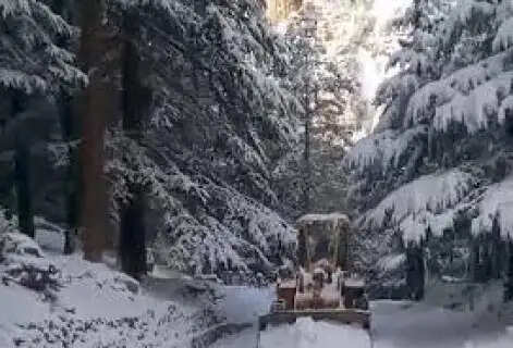 Uttarakhand Weather : IMD Issues Lightning & Hail Warning; Rain and Snow to Lash Hills for Next 6 Days