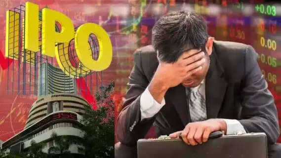 IPO Watch: Declining NAV, volatile profits and zero fresh capital