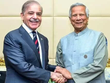 Biggest Neighborhood Crisis Since 1971 Parliament Panel Flags China Pakistan Game in Bangladesh