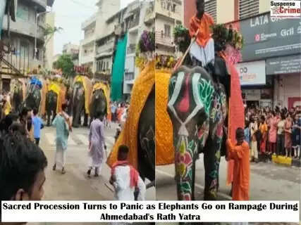 Sacred Procession Turns to Panic as Elephants Go on Rampage During Ahmedabad's Rath Yatra